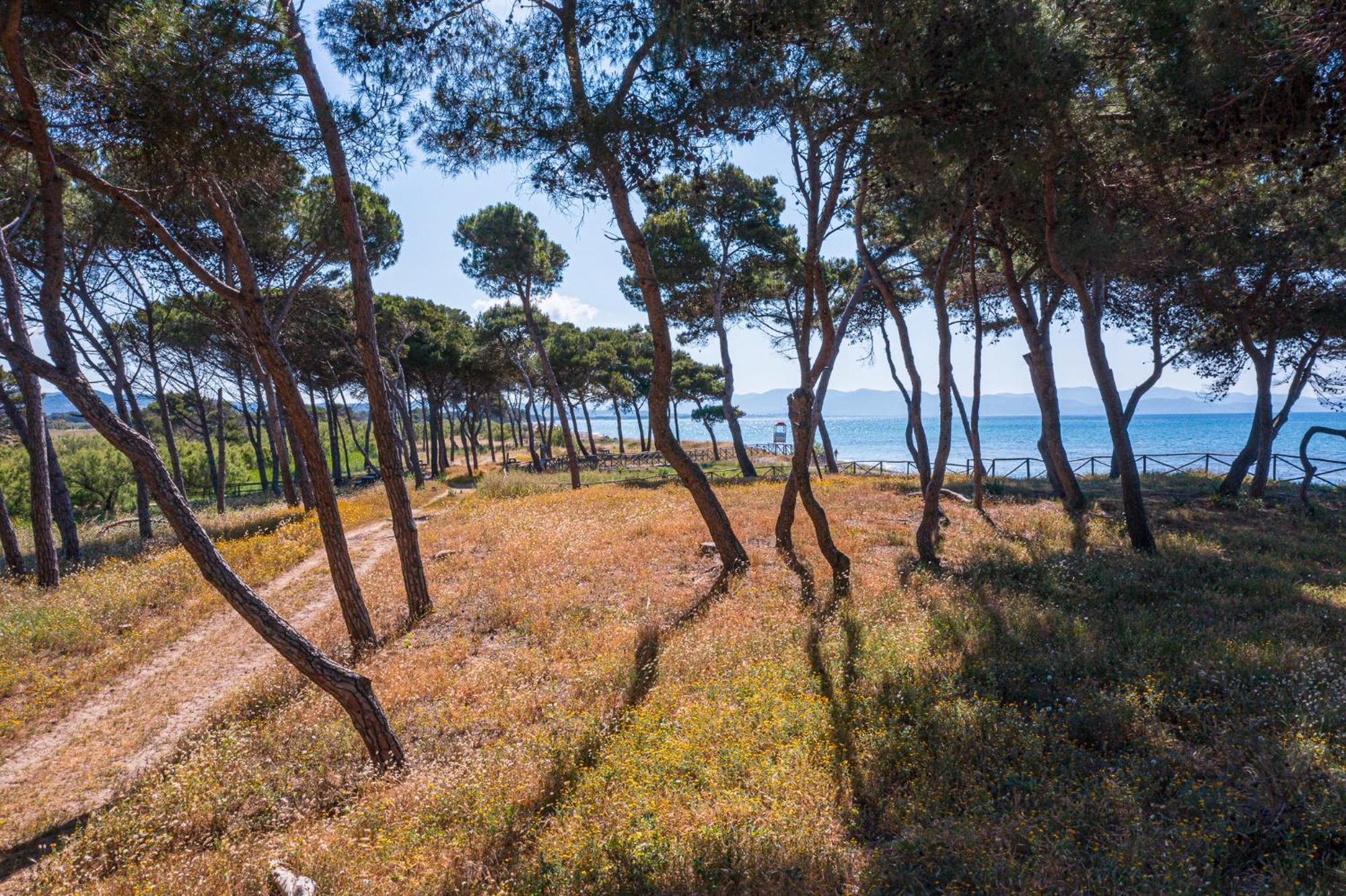 Villaggio Orizzonte Riotorto Exterior foto